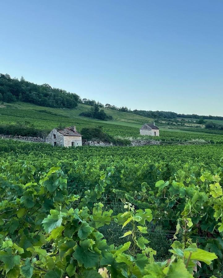 Le Clos De Miribel Givry  Buitenkant foto