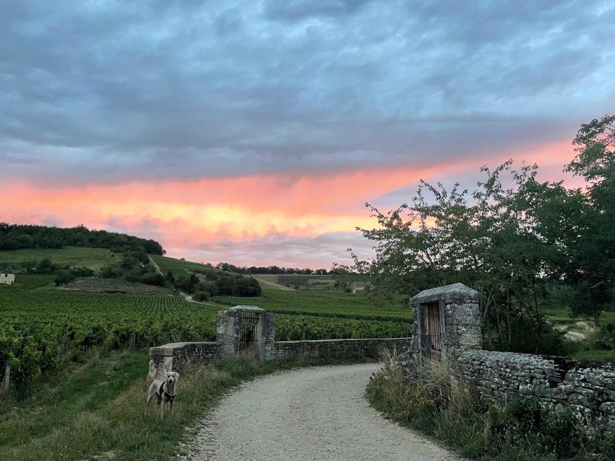 Le Clos De Miribel Givry  Buitenkant foto